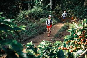 BIB: 
                            <button type="button" onclick="openModal(25847050)" class="btn btn-primary btn-sm float-right btn-popup" data-toggle="modal" data-target=".modal-high-quality">
                        <i class="fas fa-shopping-cart"></i> Add to Cart
                    </button>
                                            <button type="button" onclick="isThisMe(25847050, true)" class="btn btn-success btn-sm float-right btn-popup btn-isme hidden" data-toggle="tooltip" data-placement="bottom" title="นี่คือรูปของคุณใช่ไหม คลิกที่นี่เพื่อเอาเข้าอัลบั้ม">
                        <i class="fas fa-plus"></i> Add to album
                    </button>
                    <button type="button" onclick="isThisMe(25847050, false)" class="btn btn-warning btn-sm float-right btn-popup btn-isnotme hidden">
                        <i class="fas fa-ban"></i> Remove from album
                    </button>